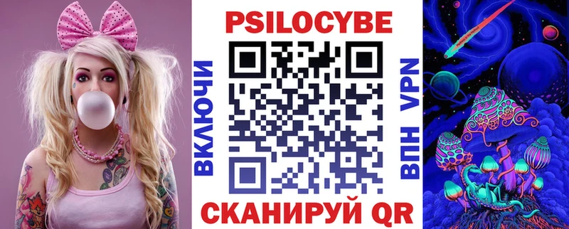 Псилоцибиновые грибы Cubensis где можно купить наркотик кракен сайт Ногинск