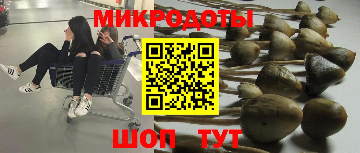Галлюциногенные грибы Psilocybine cubensis  Вход с VPN  Псилоцибиновые грибы Cubensis  Ногинск 