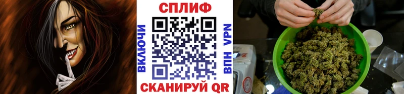 Шишки марихуана сатива  купить наркотики цена  Ногинск 